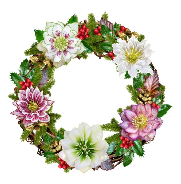 크리스마스 화 환 꽃 미나리 아재비과 식물의 잎, 화 환 — 스톡 사진