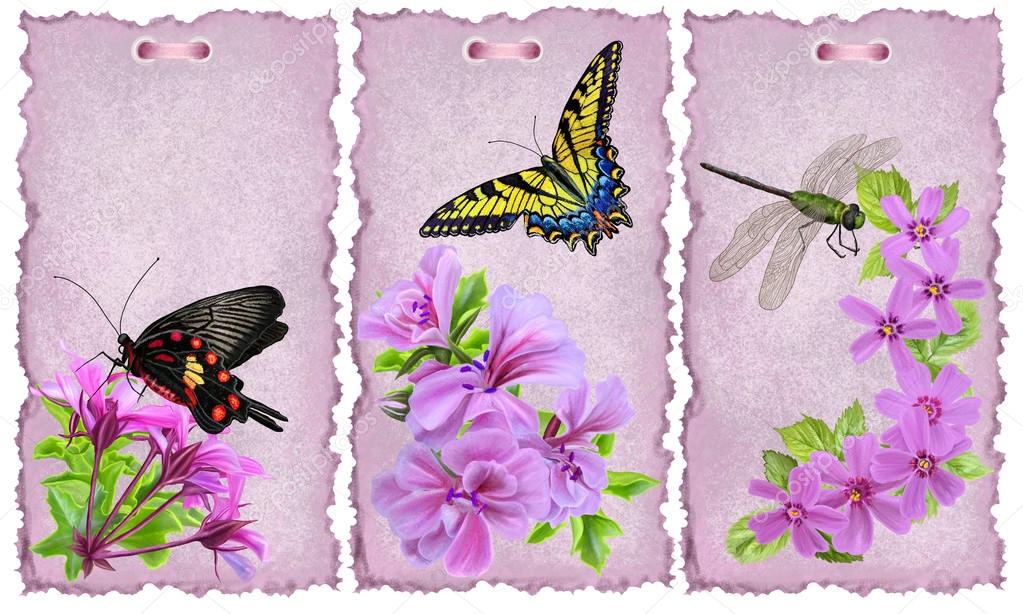 card set of pink flowers, butterflies and dragonflies, vintage