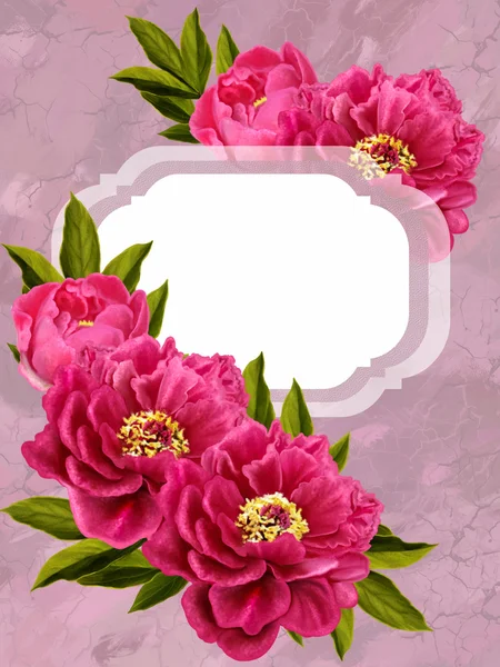 Kart kırmızı çiçekler peonies — Stok fotoğraf