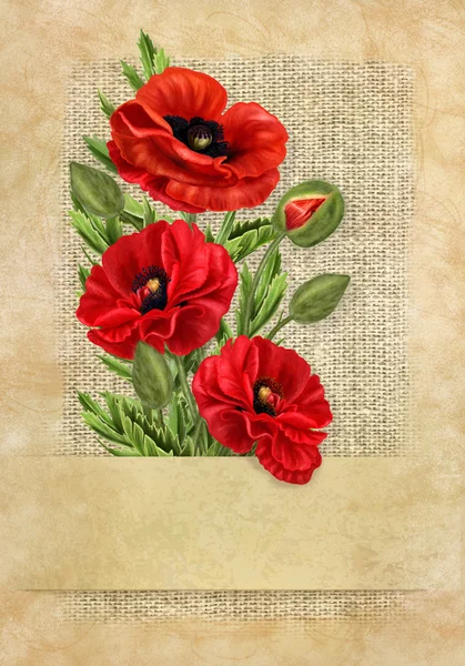 Carte postale. bouquet de fleurs rouges coquelicots — Photo