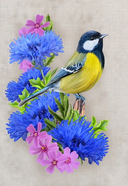 山雀鸟为背景，盛开的花朵矢车菊 — 图库照片