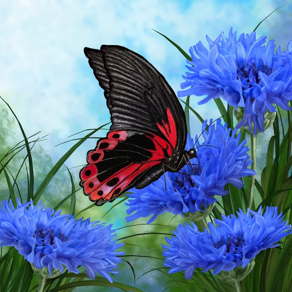 Большая черная бабочка сидит на голубом васильке на лесной поляне. — стоковое фото