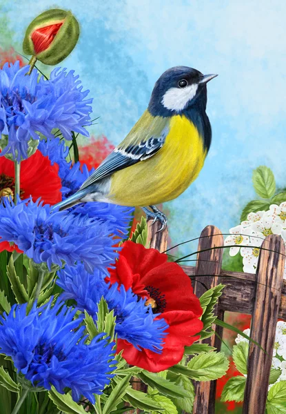 Tit bird sobre un fondo de flores azules que florecen acianos y amapolas rojas — Foto de Stock