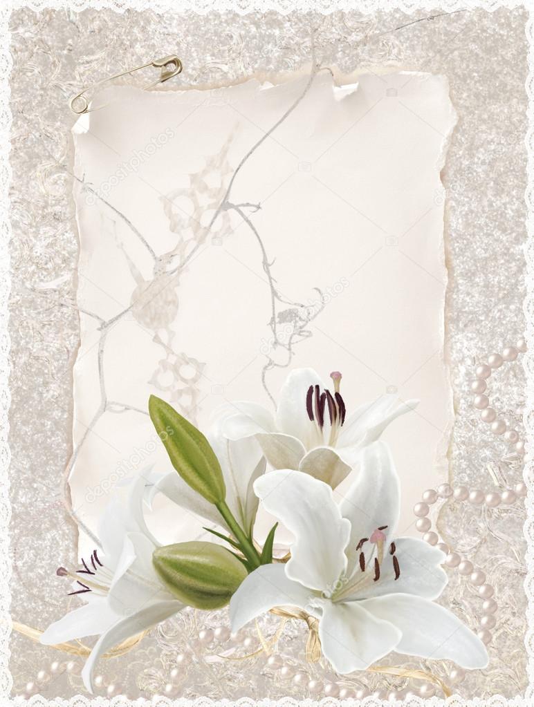 greeting card White lily flowers