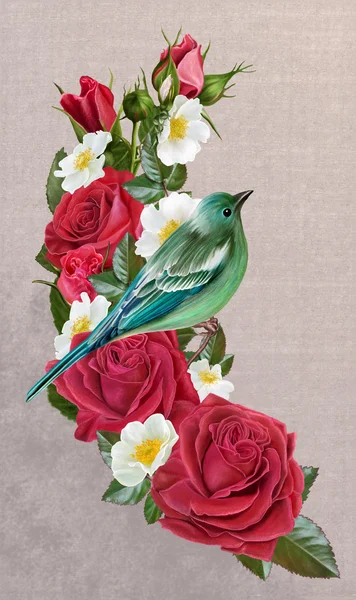 Kék madár egy vörös rózsa és fehér Vadrózsa ága — Stock Fotó