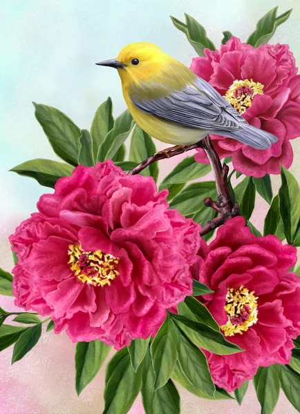 Yellow bird on a branch of tree peonies — Stock Photo, Image