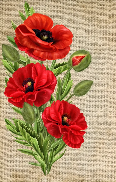 Bouquet de coquelicots rouges sur fond de toile de jute — Photo