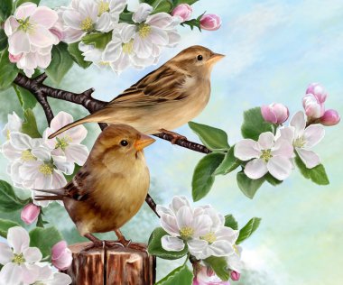 Uygula bir dalı olarak iki serçeler