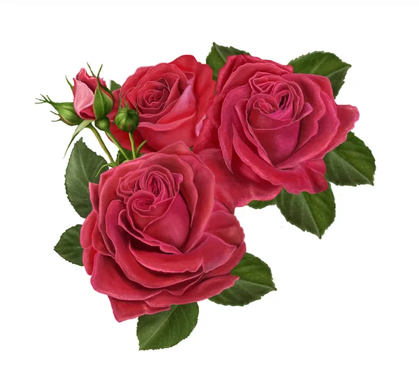 Buquê de rosas vermelhas composição isolada — Fotografia de Stock