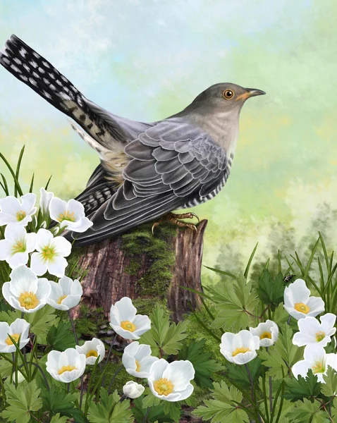 eski bir güdük üzerinde guguk kuşu