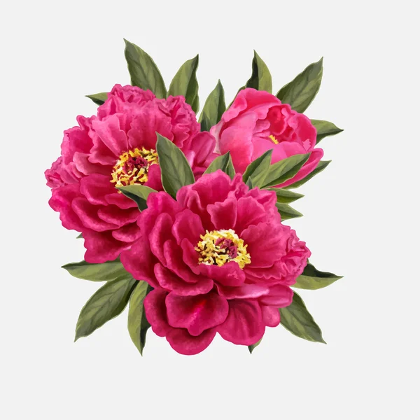 Kırmızı peonies, vektör illüstrasyon izole, buket
