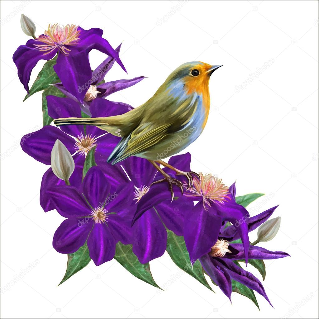 Little bird sits on a bright purple clematis flowers