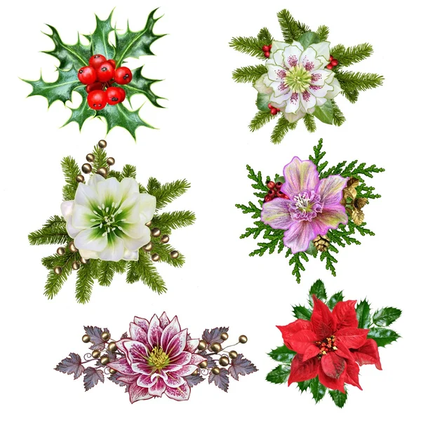 크리스마스 화 환 및 포 인 세 티아 미나리 아재비과 식물 — 스톡 사진