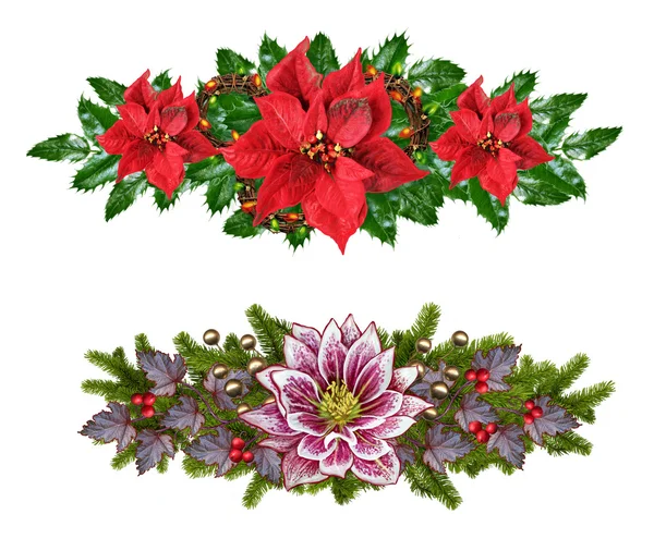포 인 세 티아, 크리스마스 스타, 미나리 아재비과 식물, 크리스마스 화 환 — 스톡 사진