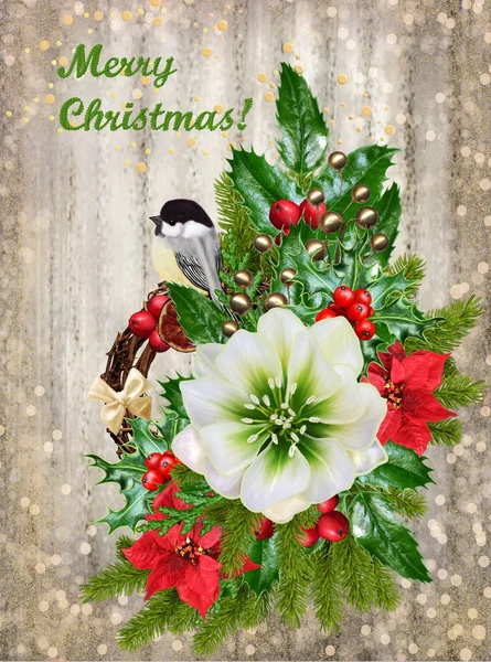 Christmas background. Hellebore flower, sprigs of spruce, ornaments, bird titmouse — Stock Photo, Image