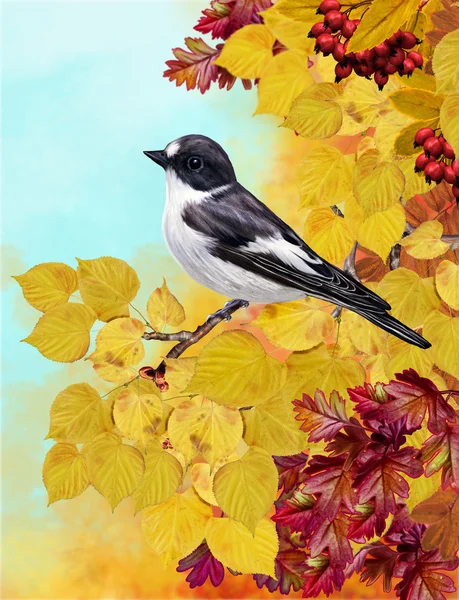 Pequeno pássaro em um contexto de folhas de outono — Fotografia de Stock