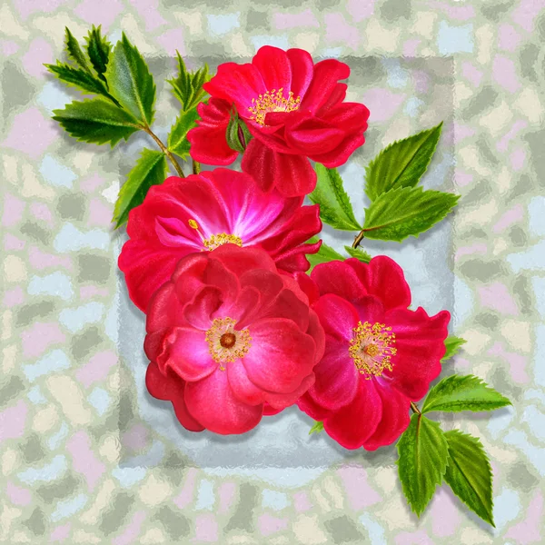Ramo de flores de rosas rojas sobre un fondo de vidrieras — Foto de Stock