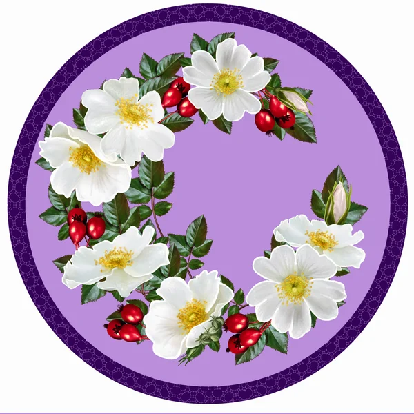 Obraz. Bílé květy divoké růže v kruhu. — Stock fotografie