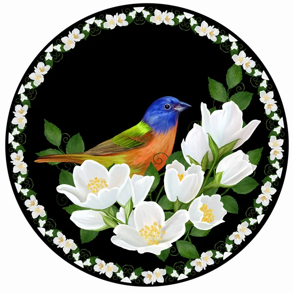 Målning. Vita jasmin blommor i en cirkel. Liten färgglad fågel. Svart bakgrund. — Stockfoto