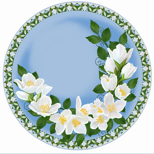 Obraz. Bílých jasmínových květů v kruhu. — Stock fotografie