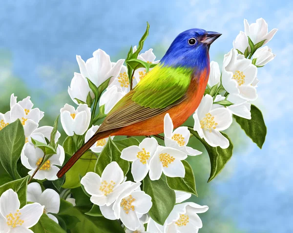 Grote lichte vogel op een achtergrond van bloeiende jasmijn — Stockfoto