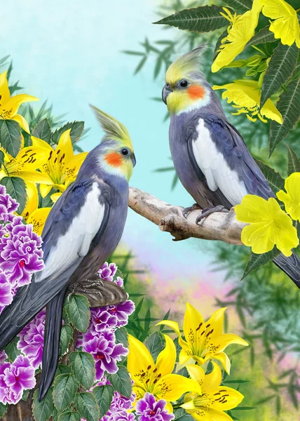 Twee papegaai Corella op een achtergrond van tropische bloemen — Stockfoto