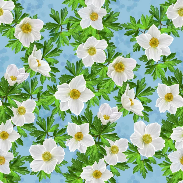 Motivo floreale fiori senza cuciture anemoni bianchi — Foto Stock