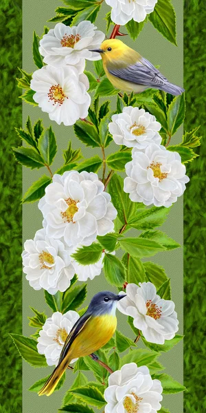 Blommig gränsen vertikal, mönster, vita rosor, gröna blad — Stockfoto