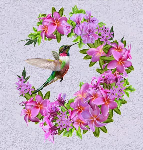 Pequeño colibrí colibrí adorno en el fondo de flores pin —  Fotos de Stock