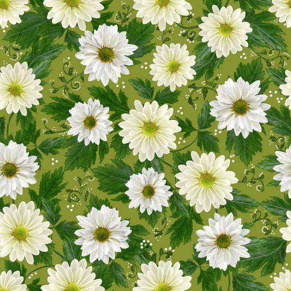 Padrão floral sem costura outono flores brancas crisântemo — Fotografia de Stock