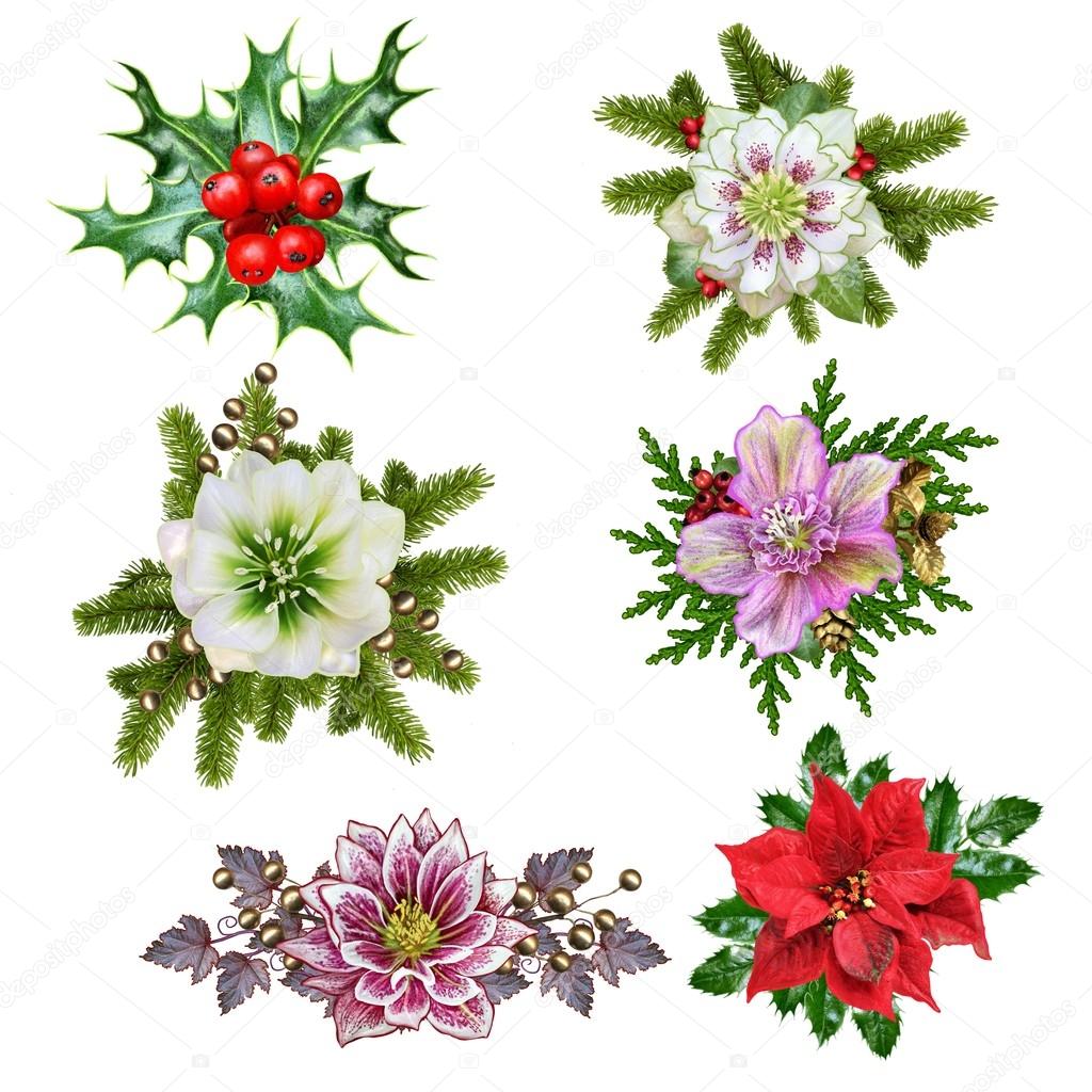 Set of Christmas wreaths and poinsettia hellebore