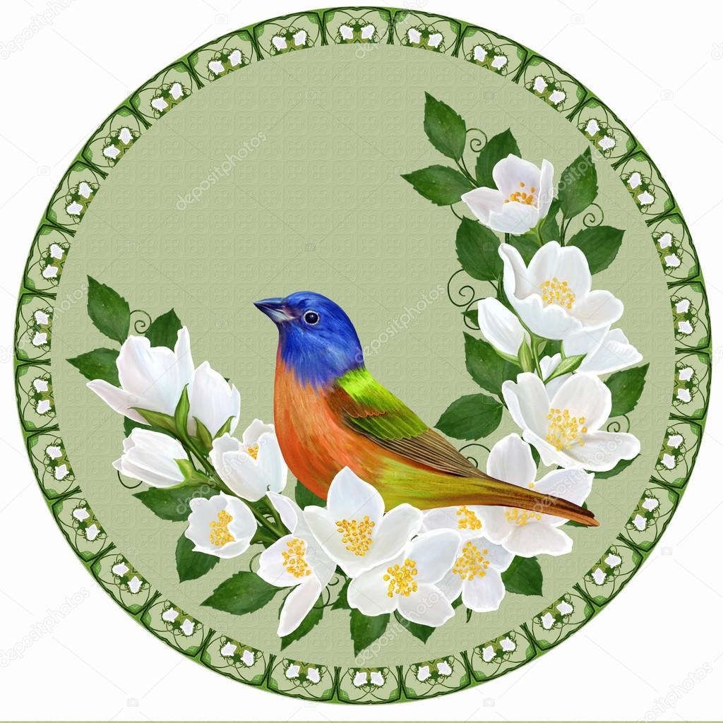 Painting. White jasmine flowers in a circle.Little colorful bird