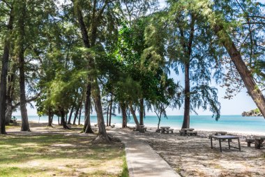 Tarutao Adası, Satun, Tayland beach yakınındaki güzel taş tezgah