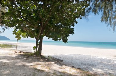  Güzel bir plaj deniz Tarutao Island, Satun, Tayland