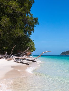 Koh Rawi Island, Satun, Tayland beach yakınındaki eski ahşap 