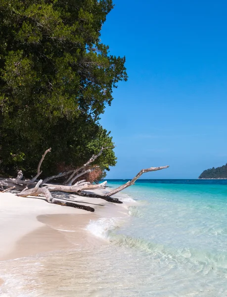 Koh Rawi Island, Satun, Tayland beach yakınındaki eski ahşap 
