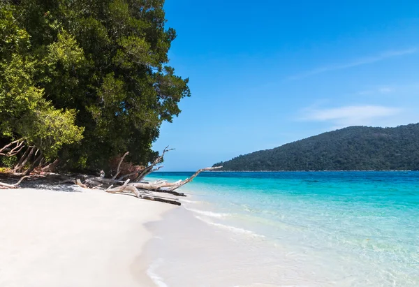 Madera vieja cerca de la playa en la isla de Koh Rawi, Satun, Tailandia — Foto de Stock