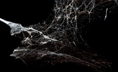 Siyah arka plan üzerine soyut Spiderweb