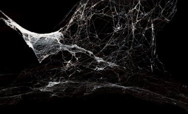 Siyah arka plan üzerine soyut Spiderweb