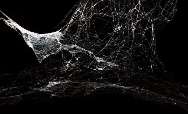 Streszczenie Spiderweb na czarnym tle — Zdjęcie stockowe