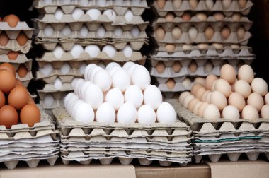Çiftlik pazarında yumurta tepsilerinde çeşitli yumurtalar. Yumurta ve süt ürünleri ana protein ve kalsiyum kaynaklarıdır.