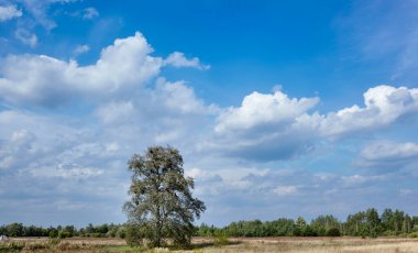 Güneşli bir günde bulutlu mavi bir gökyüzüne karşı. Güzel doğa manzarası