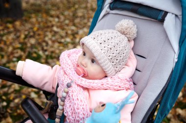 Sonbahar parkında bebek arabasında yürüyüş. Mavi sandalyede oturan, sıcak giysili sevimli küçük kız. Bebek arabasında meme ucu olan çocuk