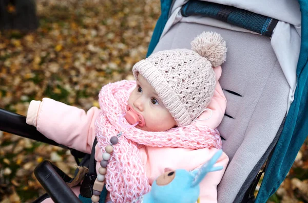 Sonbahar parkında bebek arabasında yürüyüş. Mavi sandalyede oturan, sıcak giysili sevimli küçük kız. Bebek arabasında meme ucu olan çocuk