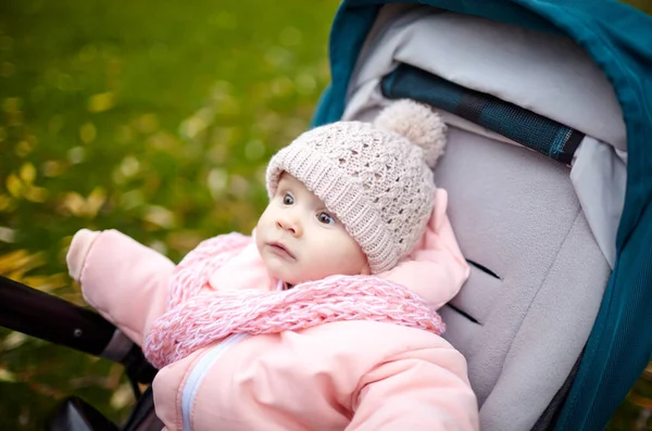 Sonbahar parkında bebek arabasında yürüyüş. Mavi sandalyede oturan, sıcak giysili sevimli küçük kız. Bebek arabasındaki çocuk
