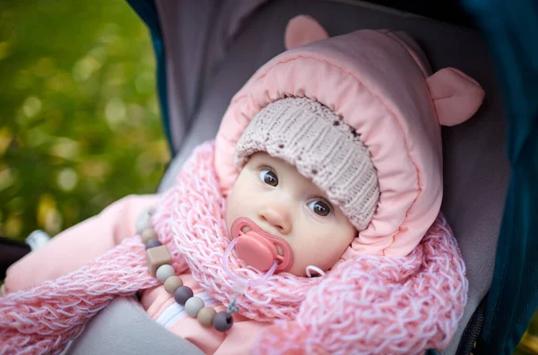 Sonbahar parkında bebek arabasında yürüyüş. Mavi sandalyede oturan, sıcak giysili sevimli küçük kız. Bebek arabasında meme ucu olan çocuk