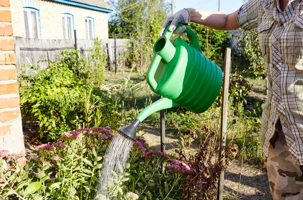 Gartenarbeit Hinterhof Frauenhände Halten Gießkanne Und Blumen — Stockfoto