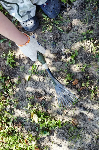 Gartenarbeit Hinterhof Die Hände Des Gärtners Lockern Mit Einer Harke — Stockfoto