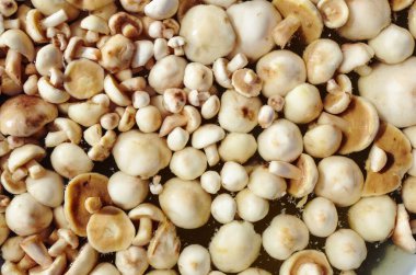 Temiz, soyulmuş metal tavada Suillus mantarları. Ahşap arka planda taze pişmiş mantar. Üst görünüm