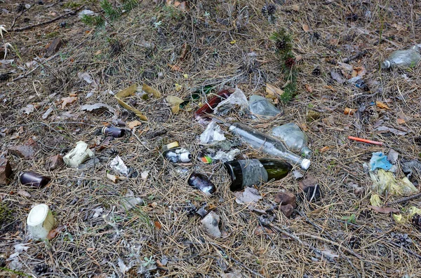 Close-up of garbage in the autumn forest, pollution of nature. Environmental pollution